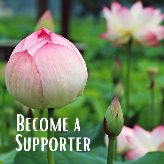 Become a GP Supporter