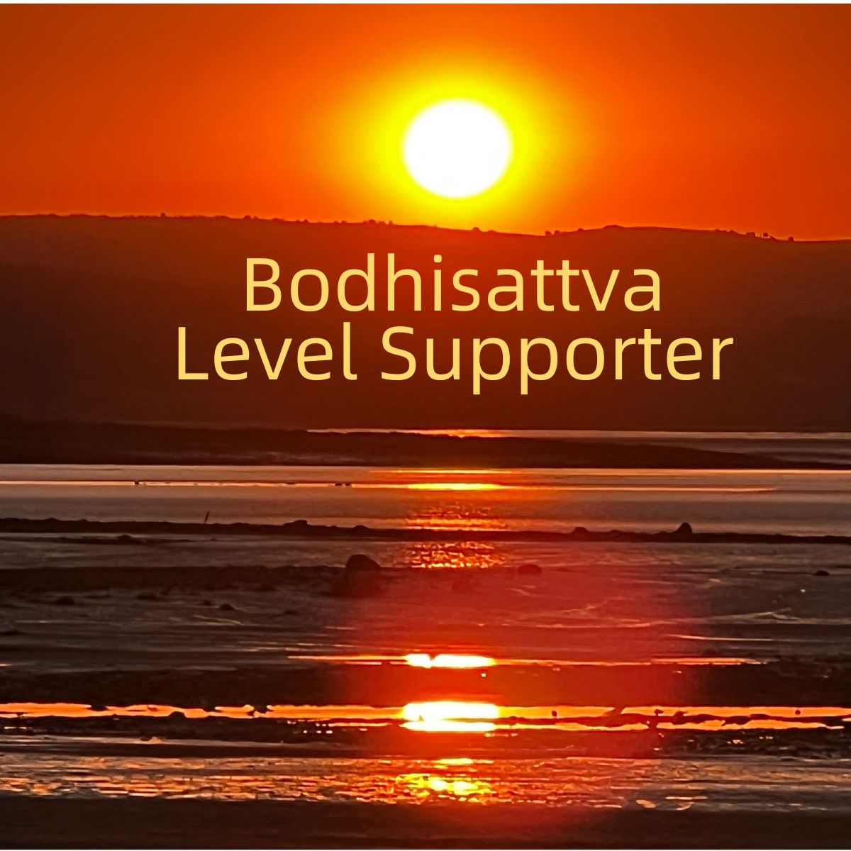 Bodhisattva Level Supporter
